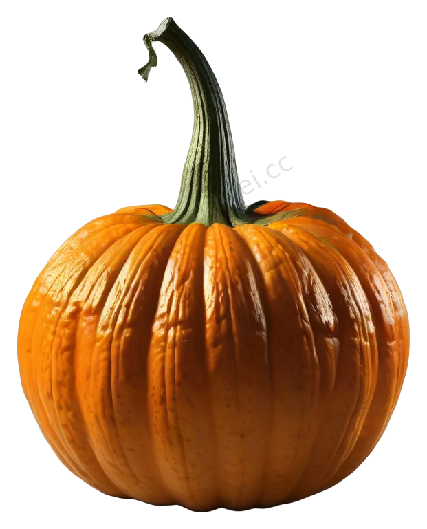 Orange Ornamental Pumpkin Autumn Decor
