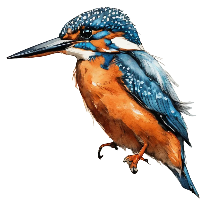 Ink Wash Kingfisher Perched on Branch Illustration