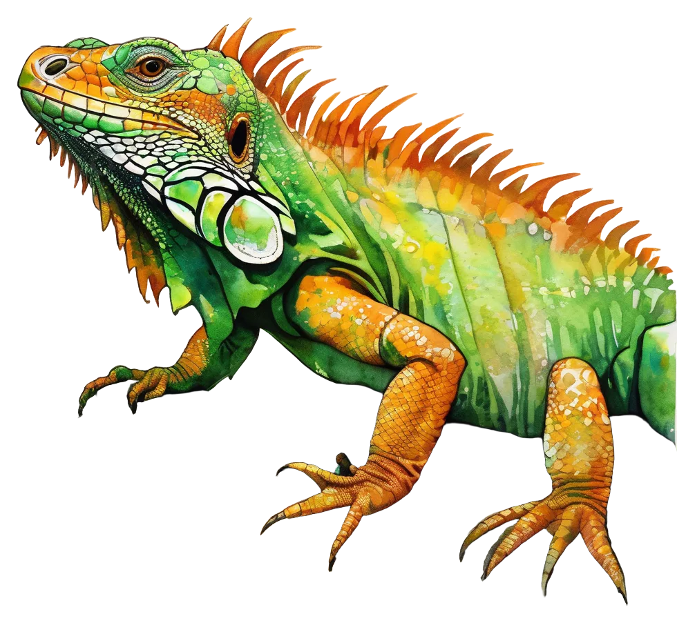 亮绿橙色鬣蜥手绘插画素材