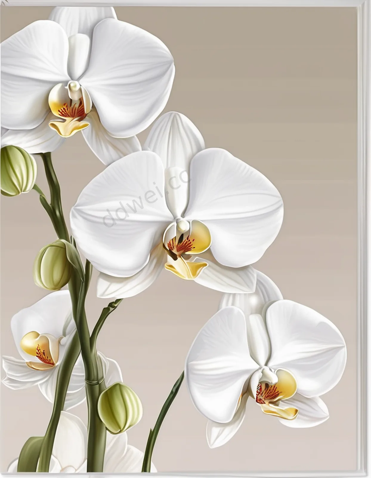 Elegant Pure White Orchid and Pearl Mother's Day Card Background