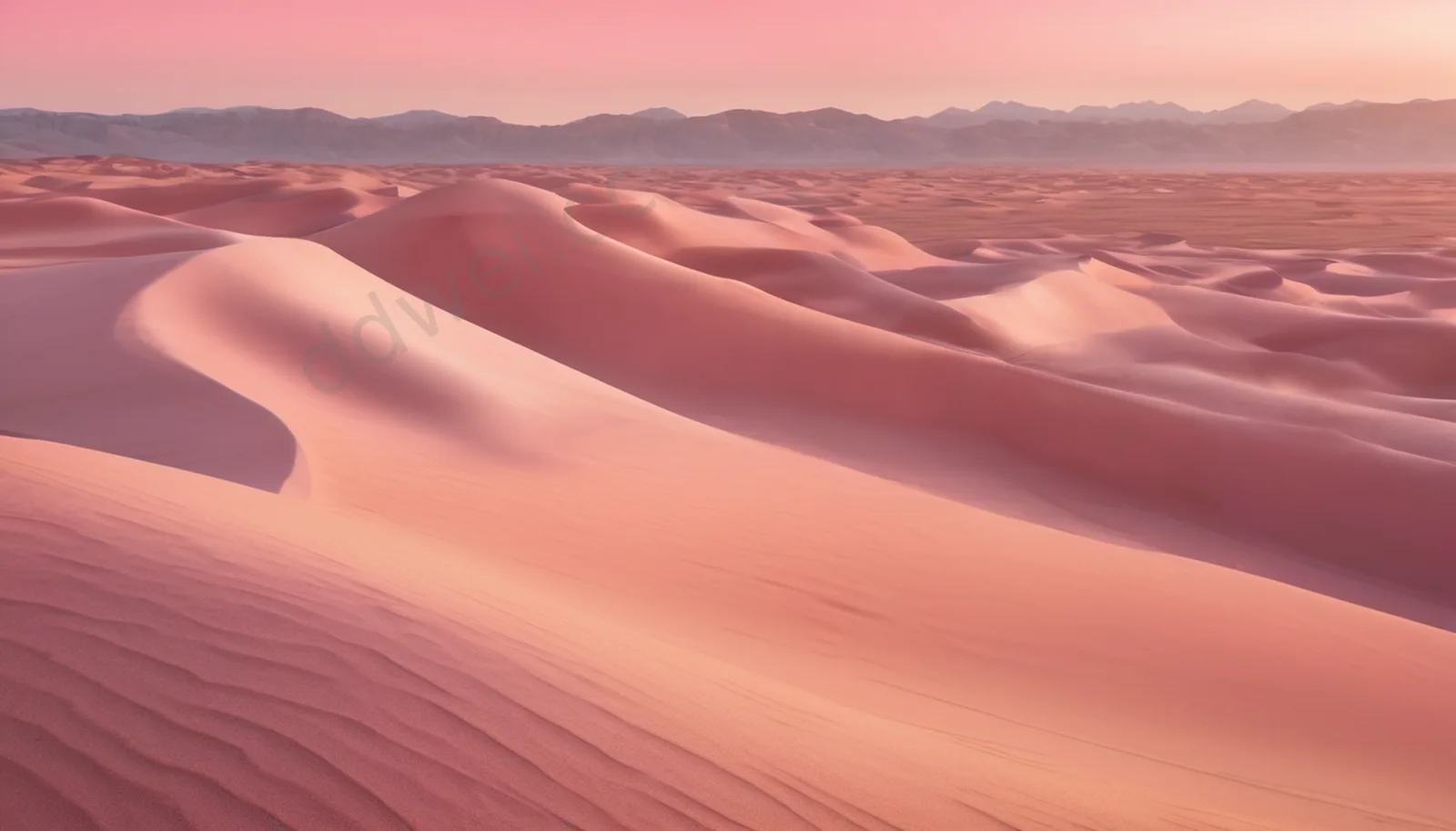 Rose Pink Soft Light Desert Dunes Curves Wallpaper
